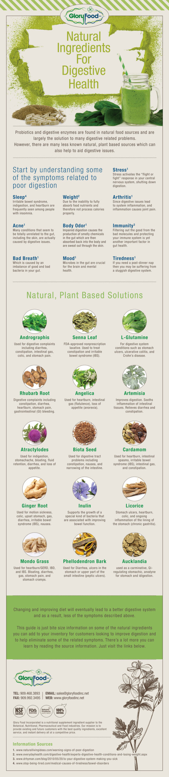 Digestive Health Ingredients Infographic